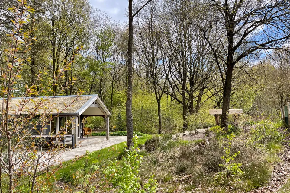 Houten overkapping met picknicktafel aan de bosrand met jong voorjaarsblad op vakantiepark Drentse Vennen