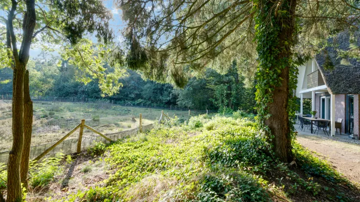 Uitzicht vanaf het overdekte terras van Villa Kraanvogel 123 over een open veld met bomen