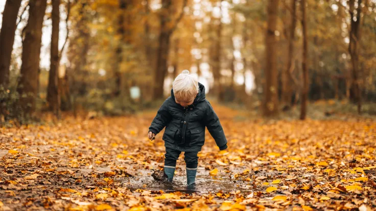 Peuter in winterjas springt in een plas op een bospad bedekt met herfstbladeren